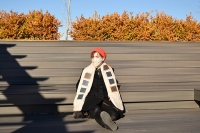 https://www.kthartic.com/files/gimgs/th-32_SolarScarfOutside2_web.jpg